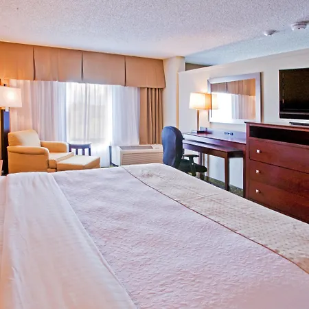 Holiday Inn St. Petersburg N - Clearwater By Ihg-2